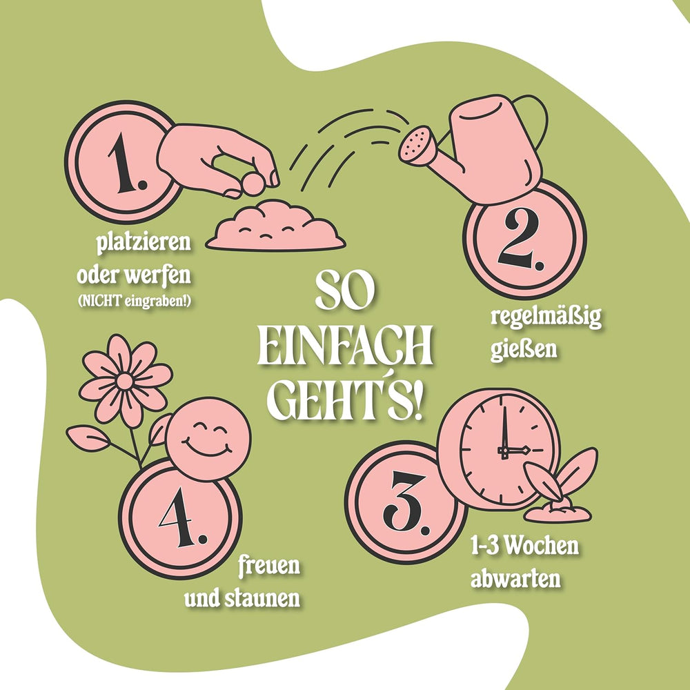 LouMaxx 10x3 håndlavet frøbombesæt, frøbombegave, blomsterfrø som festgaver, bæredygtige frø til børns festfavoritter, miljøvenlige plantekugler med 50+ slags blomsterfrø