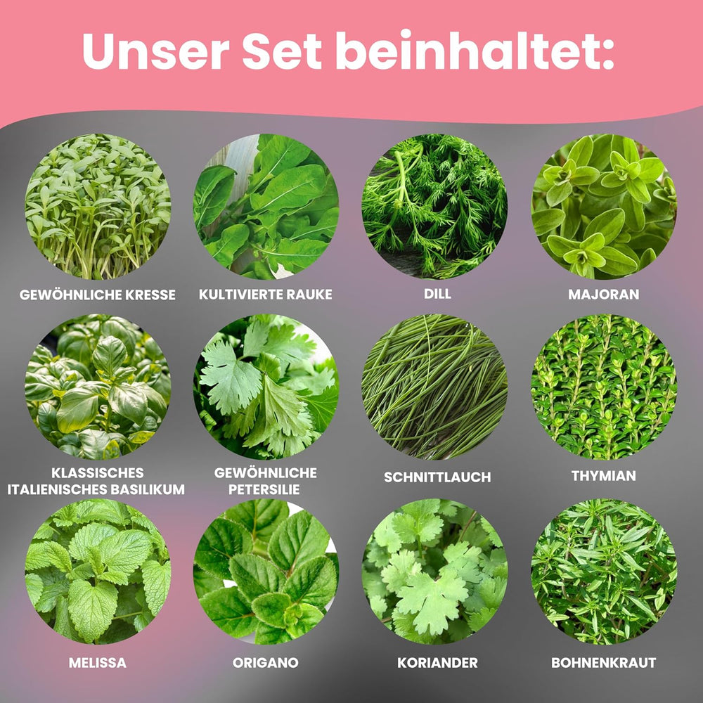 LERAVA Kräutersamen Sæt – 12 Sorten: Basilikum Samen, Parsilie Samen, Koriander, Oregano & Mehr – Saatgut für frische Kräuter im Garten eller Topf, Premium Samen für Küche & Balkon - Samen sæt, frø