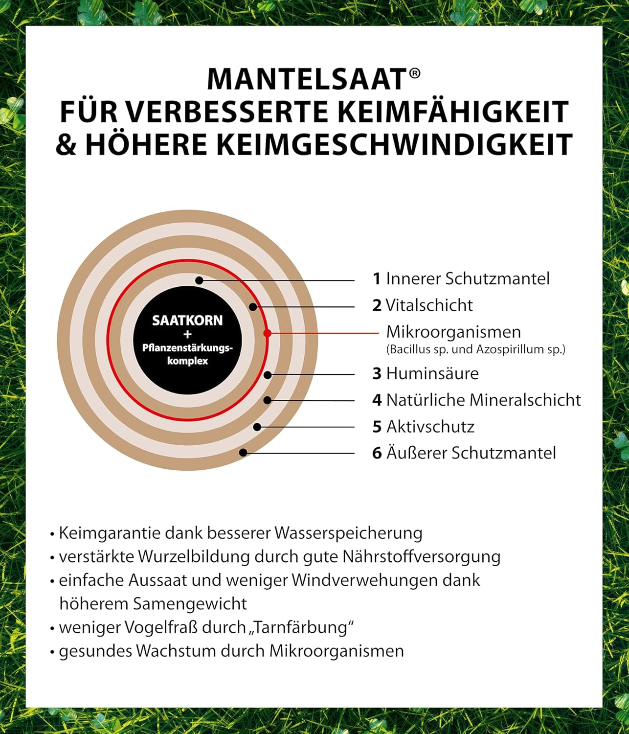 Dehner Saatgut Rasensamen, Mikroklee-Rasen, Hochwertige Saatgutmischung, Selbstdüngend/Selbstkeimend, 625 G, Für Ca. 25 M², Natur