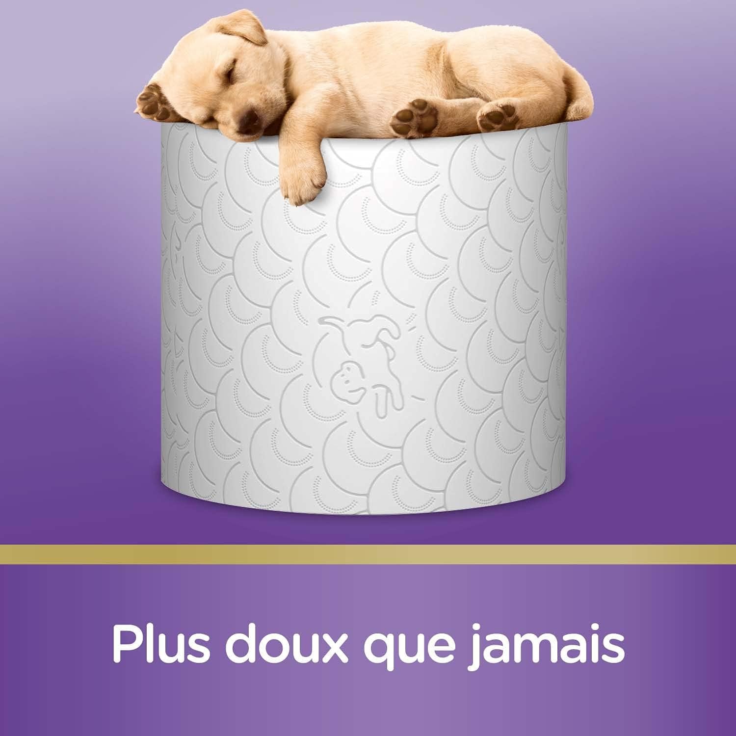 Hârtie igienică capitonată (12 pachete a câte 7 role) - moale și confortabilă - ecologică - durabilă