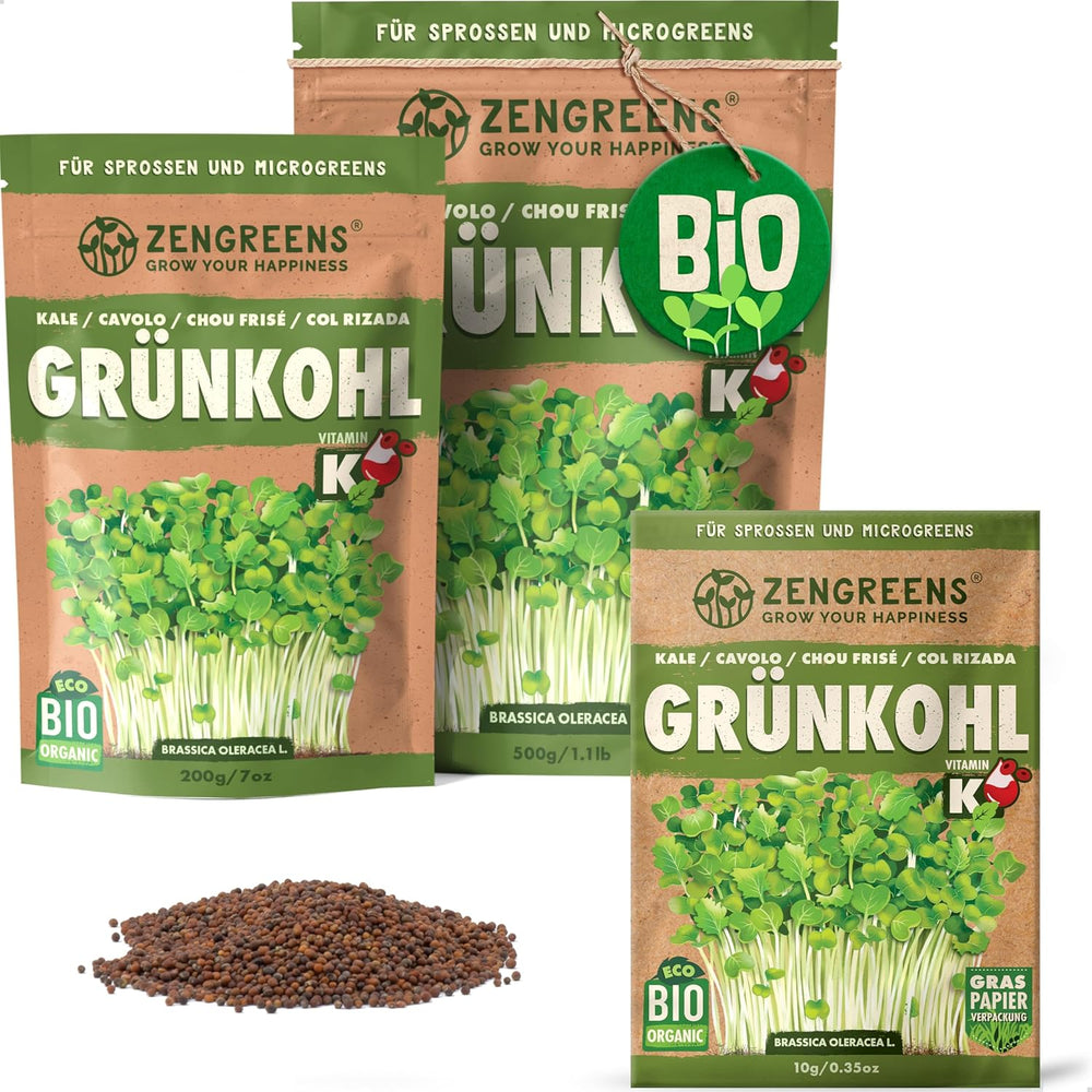 Bio Sonnenblumen Samen - Wähle Zwischen 10G, 200G Und 500G - Sonnenblume Mit Keimrate Von Über 97% - Keimsprossen - Sonnenblumensamen Zum Sprossen Ziehen - Wiederverschließbare Verpackung