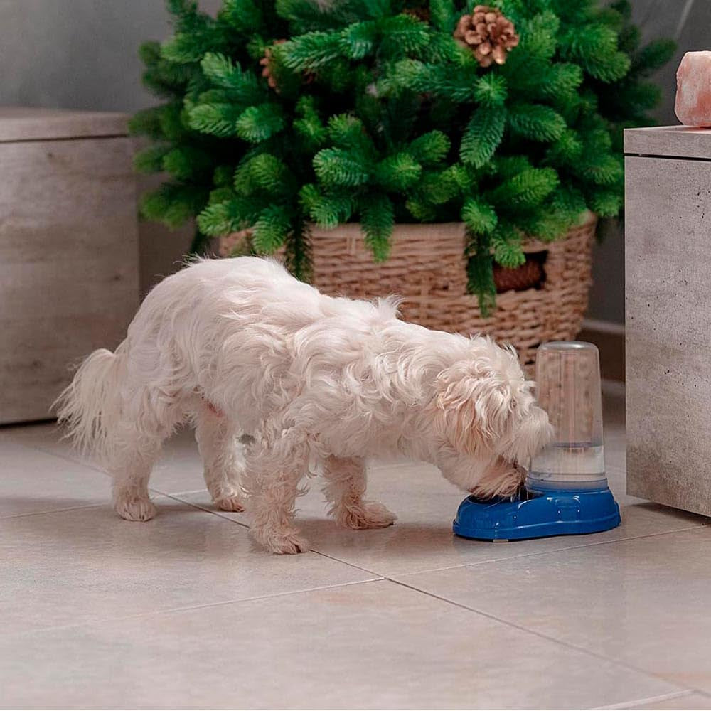 Ferplast Futter- oder Wasserspender für Hunde und Katzen AZIMUT 600 Futtertrog Vand 0,6 liter, Rutschfester Boden, 12,5 x 19 x H 19,5 cm Blå