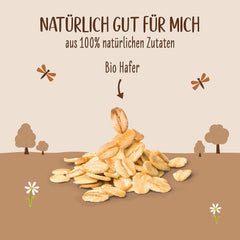 Allos Bio Haferdrink Barista | Milchalternative aus Hafer | Schaumbarer Drink auf Pflanzenbasis | Perfekt til kaffe Vegansk, laktosefri drik | 1 liter (6 stykker)