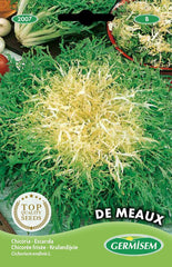 Endivie DE MEAUX, Mehrfarbig, EC2007