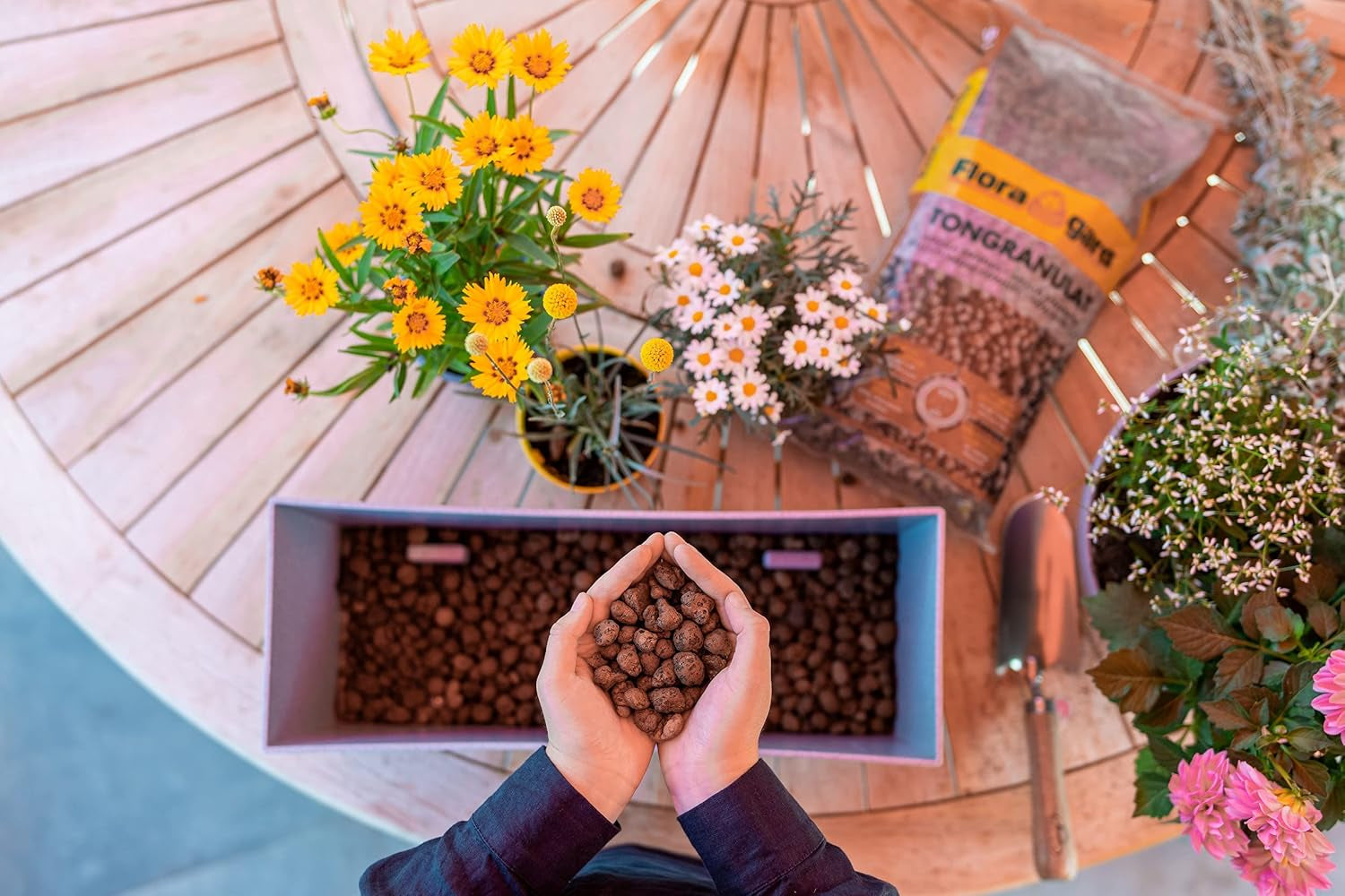 Floragard ekspanderet lergranulat 50 L - naturligt drænmateriale og hydroponisk substrat til potter, baljer, stueplanter og plantekasser - forhindrer vandophobning, sikrer god luftning