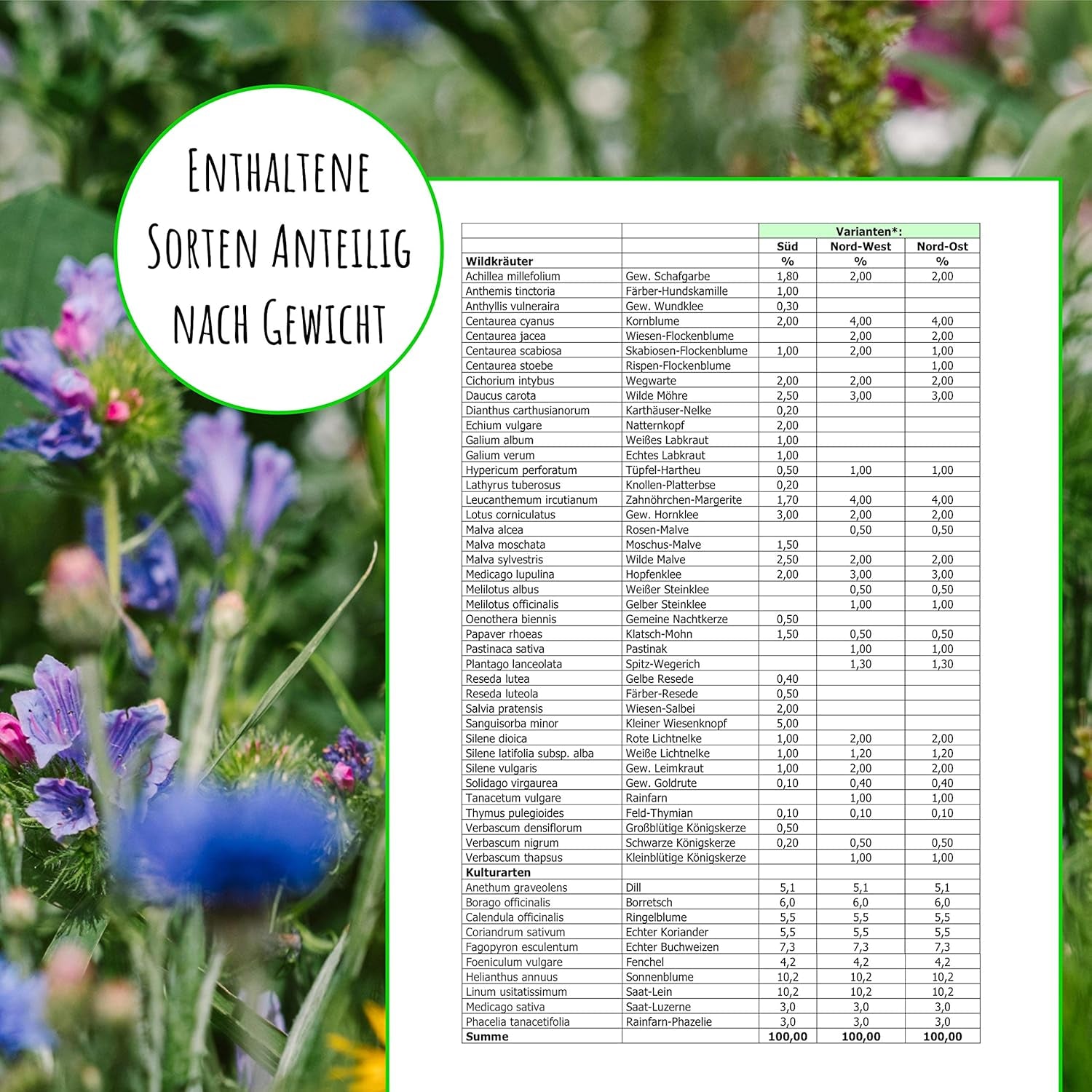 Bifrø - enge vilde blomster, flerårige og vinterhårdføre, frø - over 40 hjemmehørende blomster og vilde urter, særligt udvalg af arter til det sydlige Tyskland, 50g