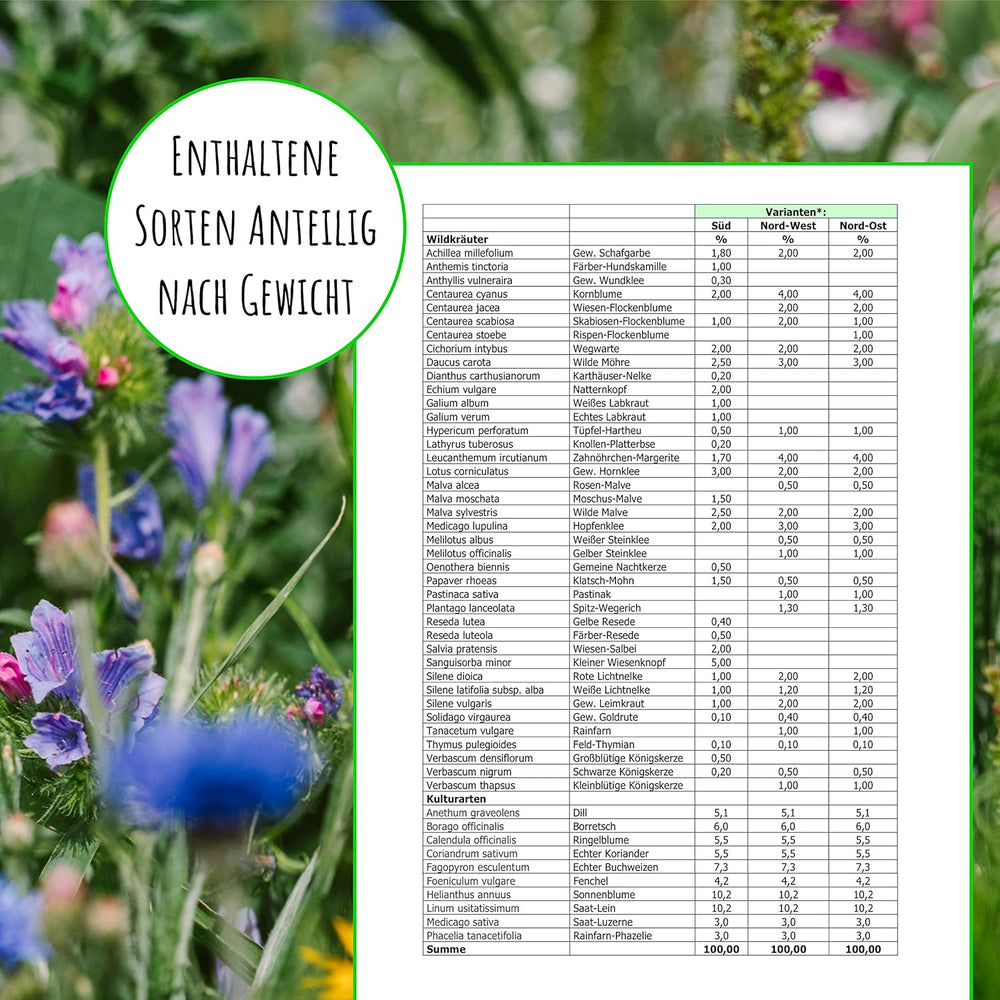 Bifrø - enge vilde blomster, flerårige og vinterhårdføre, frø - over 40 hjemmehørende blomster og vilde urter, særligt udvalg af arter til det sydlige Tyskland, 50g
