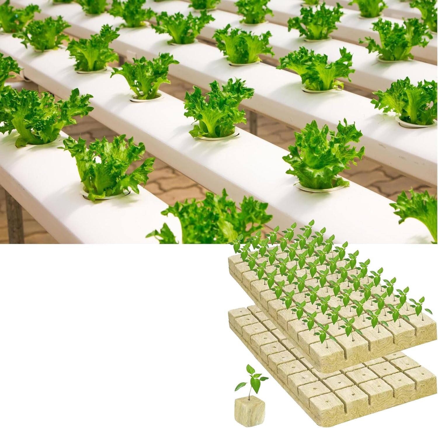 50 stk Mineraluldsdyrkningsmåtte, Mineraluldsterning, Mineraluldsisolering, Mineraluldsdyrkningsmåtte med saks og handsker til jordfri dyrkning, hydroponi og transplantation