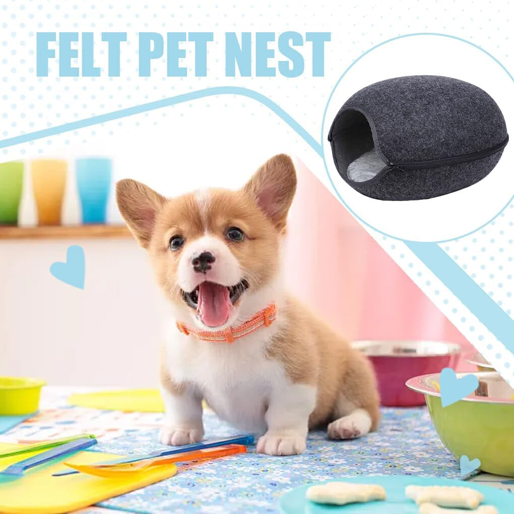 Animale de companie, câini, antrenament la oliță, scutece și protecție pentru podele