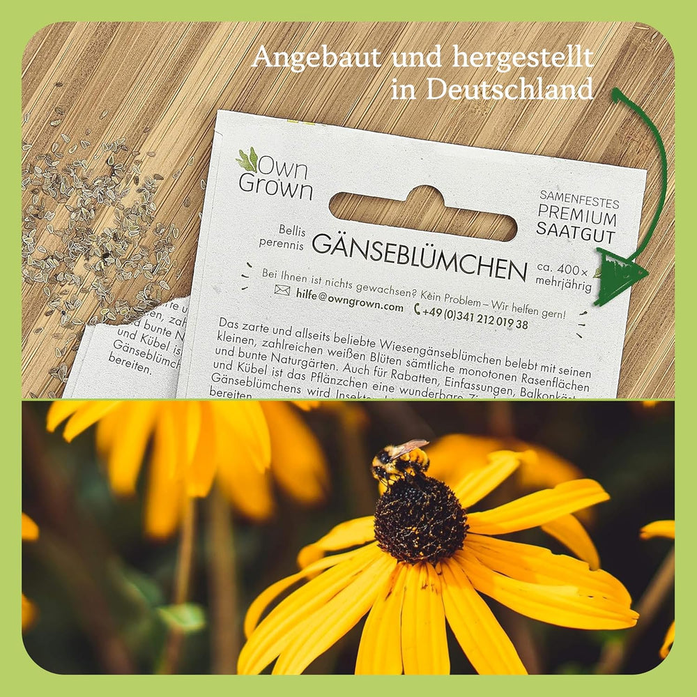 Echinacea frø: Premium gule Echinacea frø til omkring 20 blomstrende Echinacea planter - Rudbeckia frø - Hardy Rudbeckia - Echinacea stauder - hårdføre stauder af OwnGrown