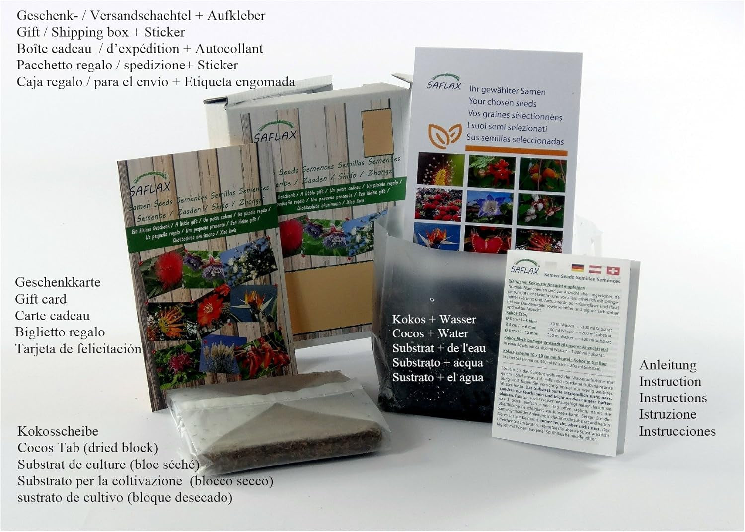 SAFLAX - BIO - Mælkebøtte - 400 frø - Taraxacum officinale