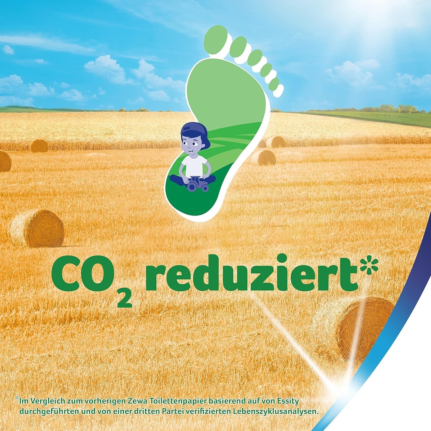 Zewa Proven - 48 role - Prima hârtie igienică cu conținut de paie - 3 straturi