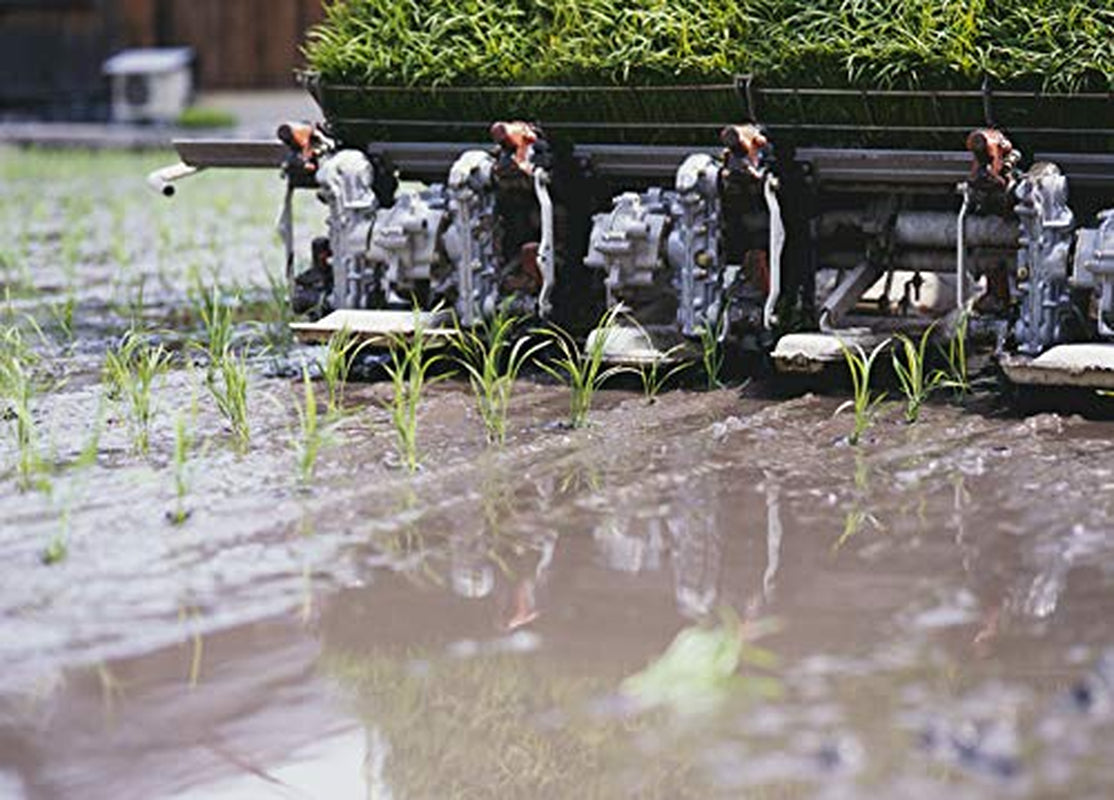 AKAFUJI Sushi Ris, Akitakomachi, 5000 g