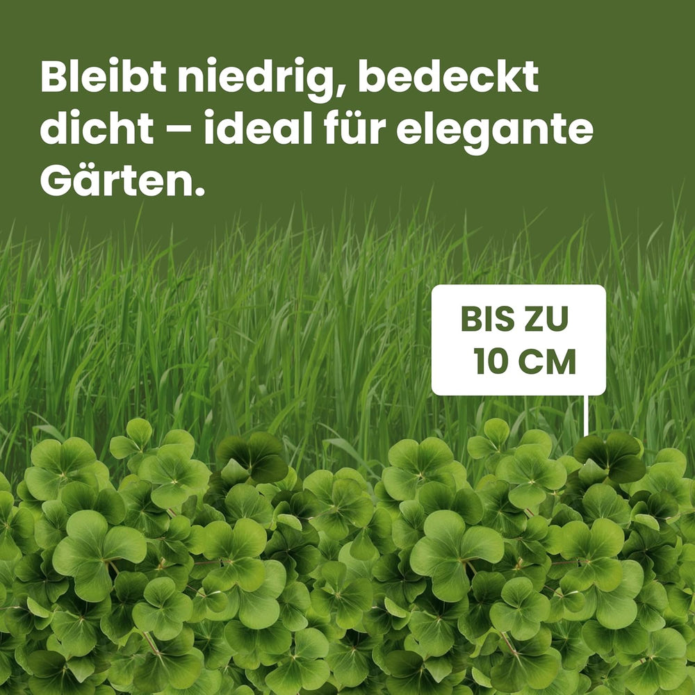 LERAVA Klee Samen (50 M²) - Mikroklee Samen Mähfrei - Weißklee Für Schattige Und Sonnige Flächen - Verbesserte Bodenqualität Durch Stickstofffixierung - Kleesamen Für Pflegeleichte Kleerasen
