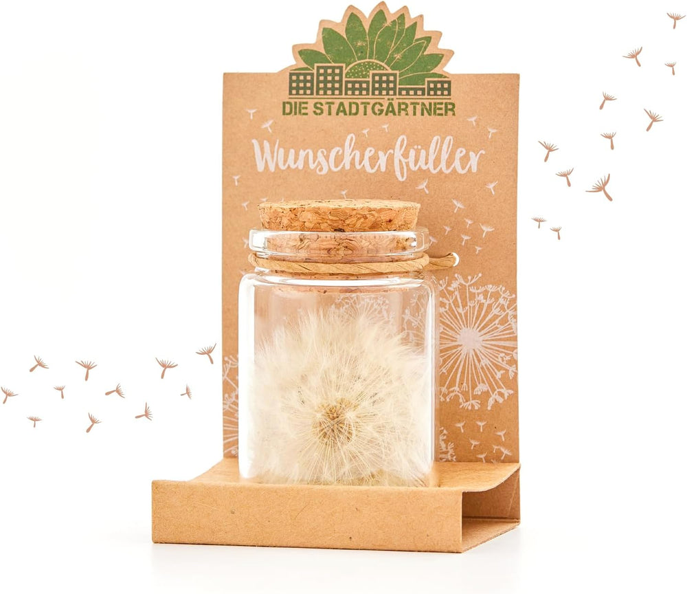 Die Stadtgärtner – 3X Wunscherfüller I Echte Pusteblume Im Glas I Ewig Haltbar I Perfekte Geschenkidee Für Jeden Anlass I Geschenke Für Frauen & Freundin