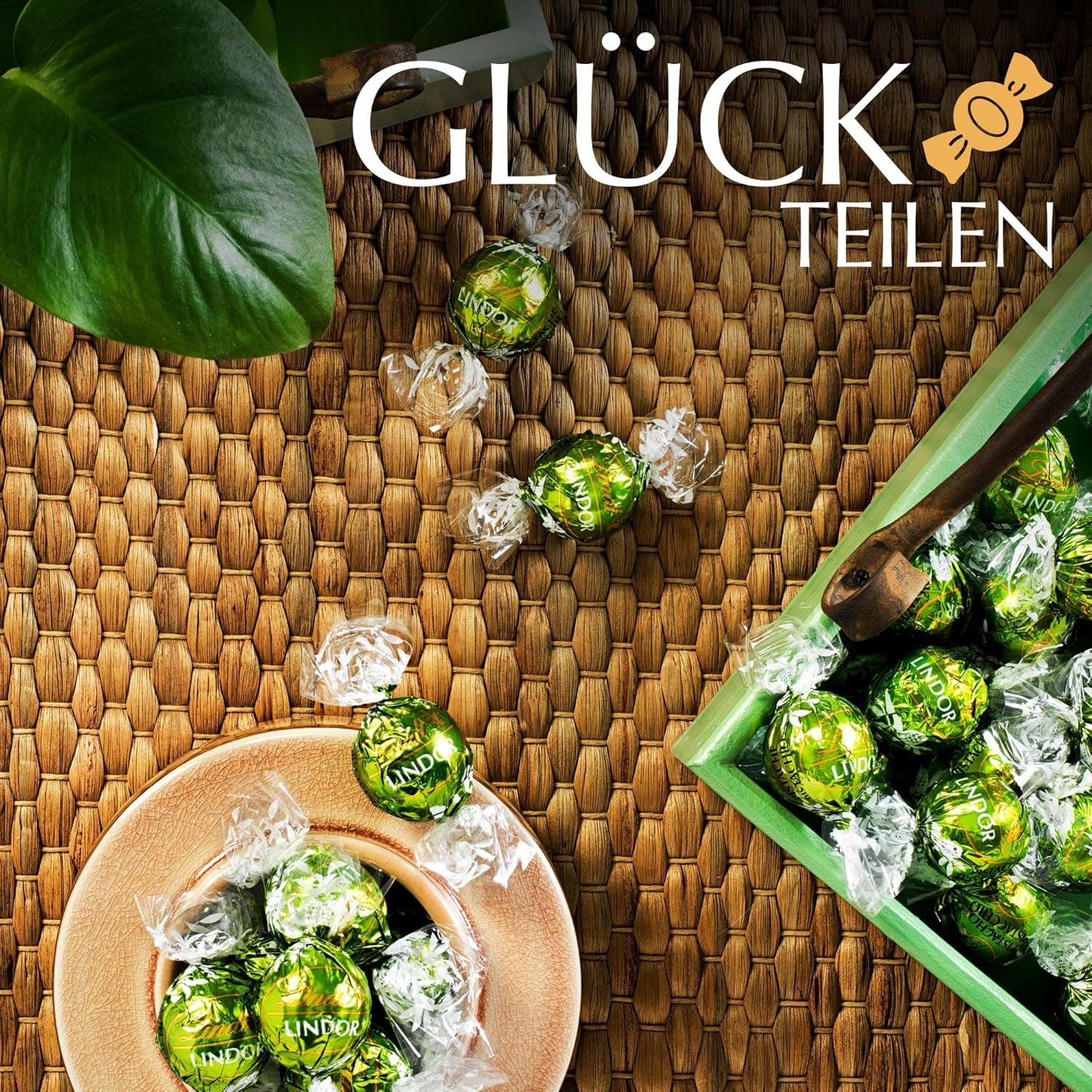 Lindt LINDOR Chokolade med Pistacie | 1 kg genlukkelig pose | ca. 80 mælkechokoladekugler med smeltet pistacie-cremefyld i munden | Bulkpakke, pralinegave