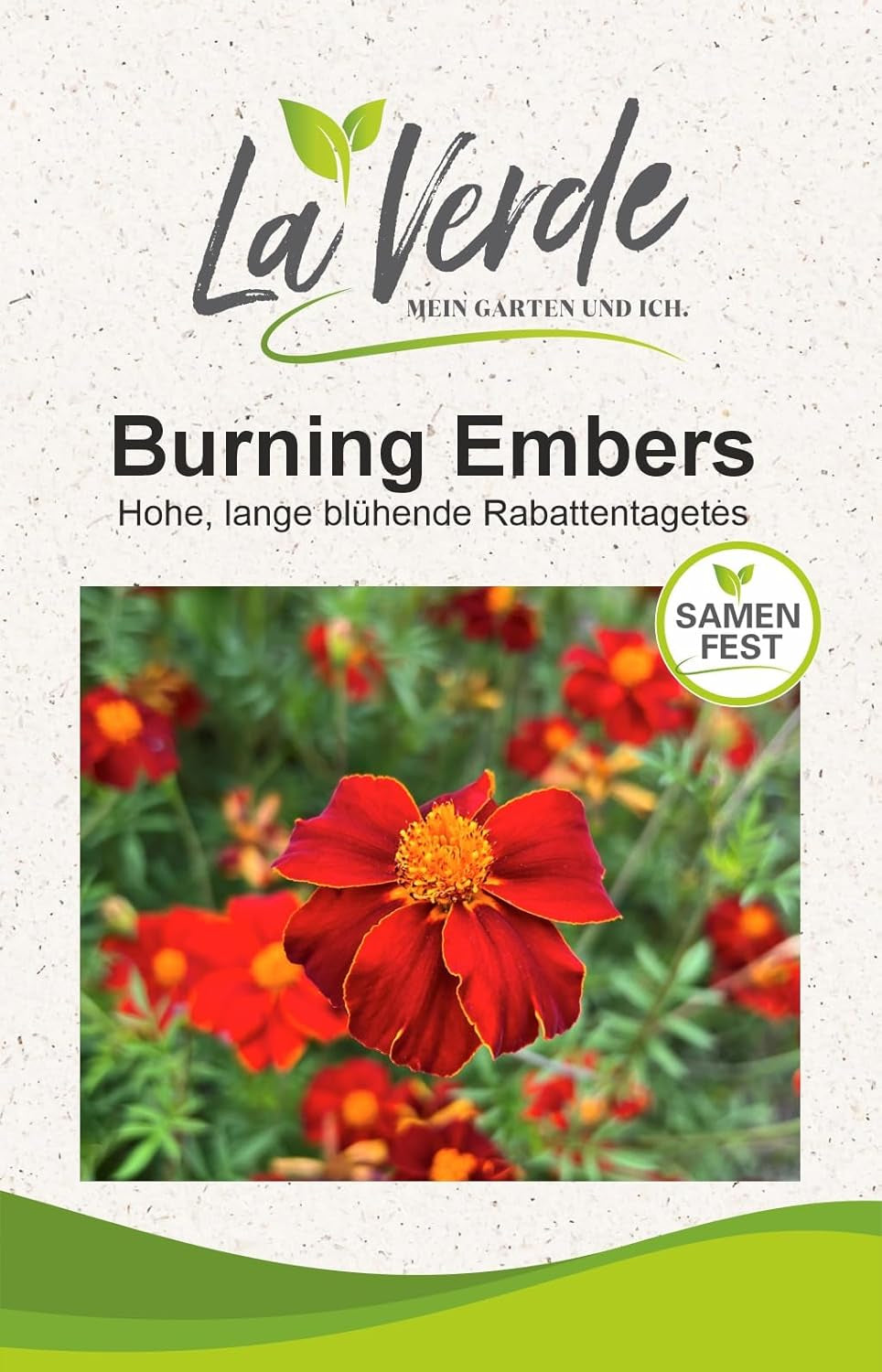 La Verde MIN HAVE OG MIG. Tagetes Bonita Bland blomsterfrø i ca. 100 planter, langblomstrende morgenfruer, dobbelte blomster, ikke-GMO frø