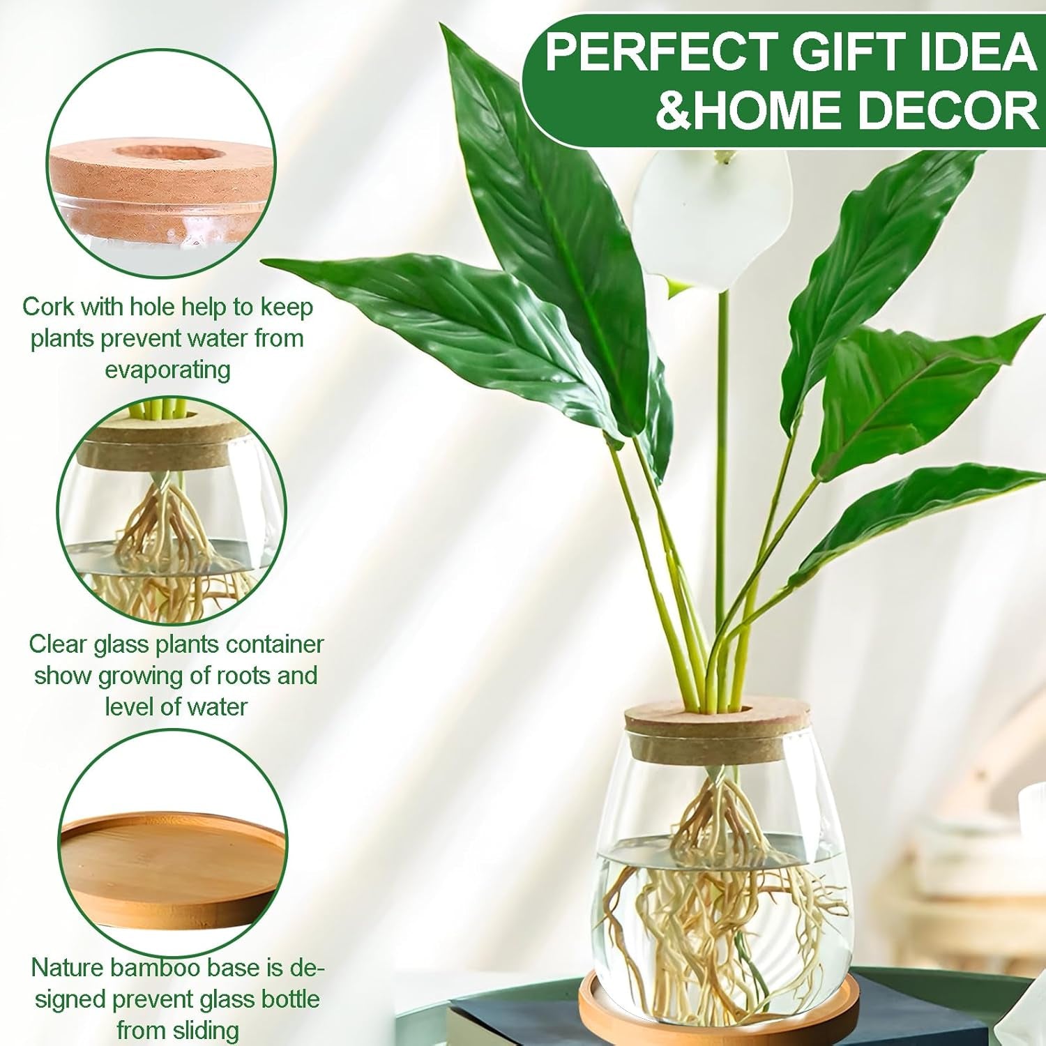 Hydroponic Plant Grow Station 12x11cm Avocado frøvase Glasplantekasse Hydroponisk glasvase til vandplanter eller blomster Skrivebordsdekoration 2 stk.