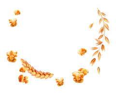 Dr. Oetker Vitalis Less Sweet Crunchy Pure: Crunchy müsli med 30 % mindre sukker, pakke med 5 (5 x 600 g)