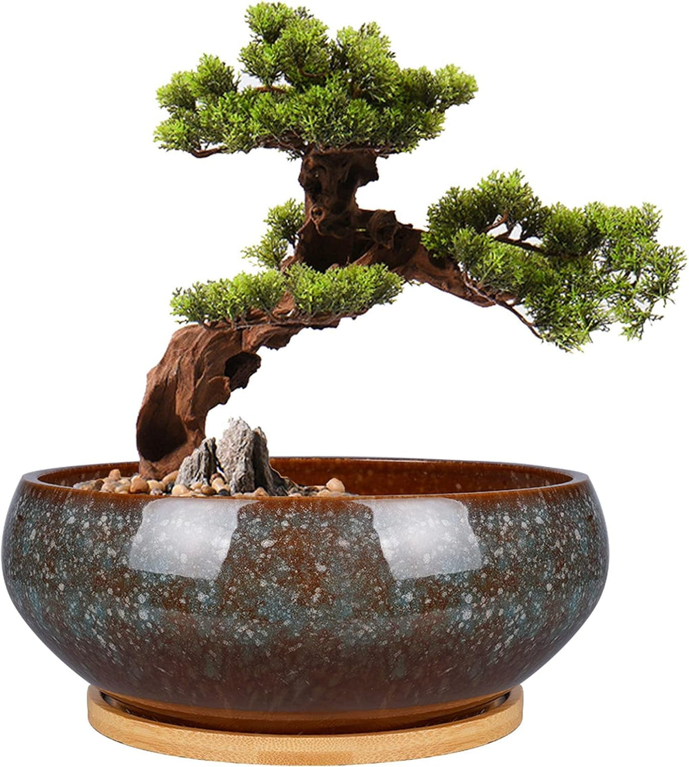 Ghiveci ceramic pentru bonsai, glazurat, puțin adânc, pentru plante suculente, cu orificiu de drenaj și farfurie din bambus pentru plante de apartament, 20,3 cm, maro