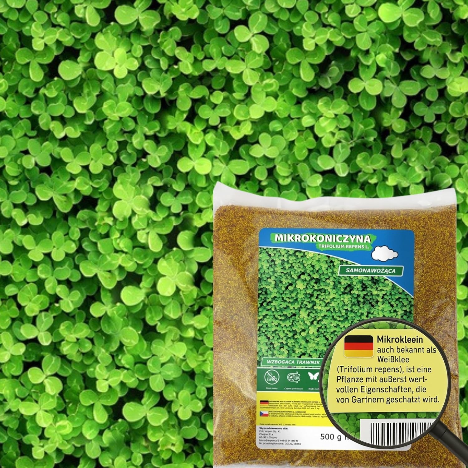 Blomstereng - Bivenlig blomsterfrøblanding - vilde blomster og græs til tørre steder - vilde blomsterfrø - enårig og flerårig frøblanding