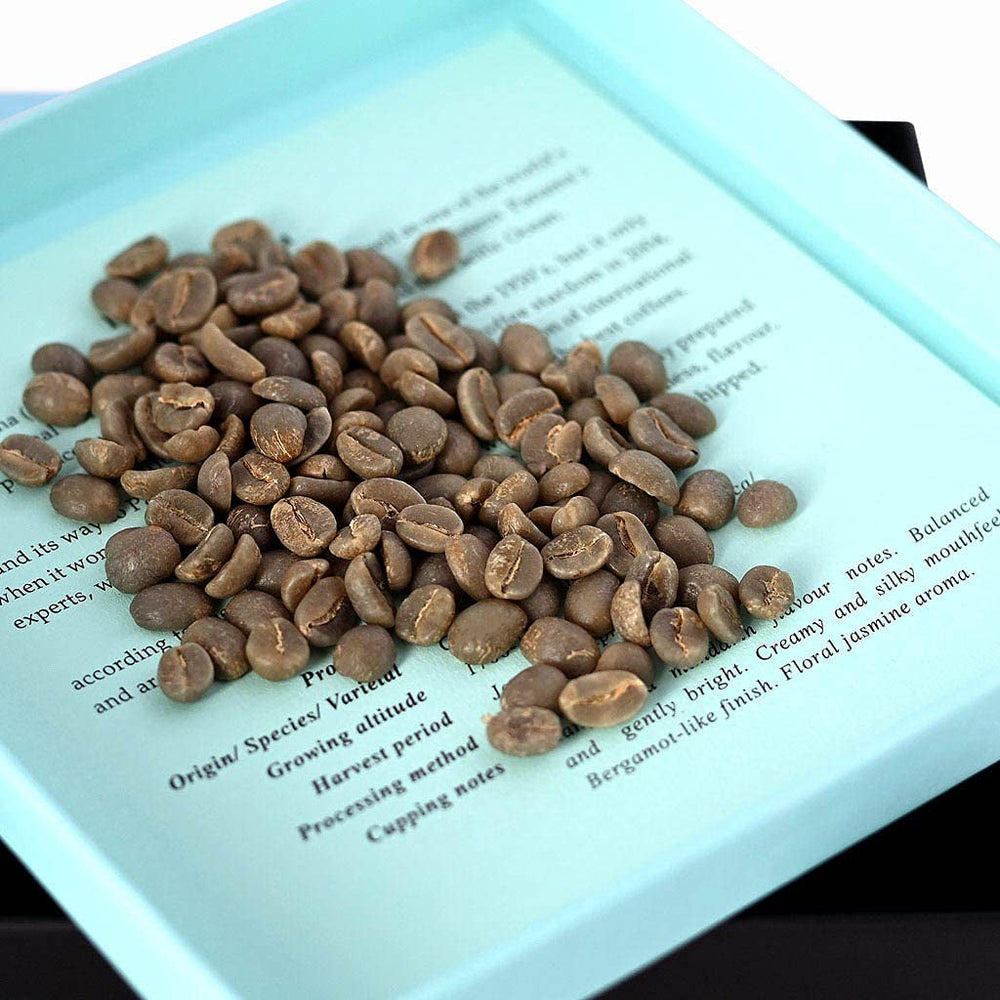 100% Fazenda Sao Paulo Kaffee aus Brasilien - Grüne Kaffeebohnen | Kaffee-Röststufe: nicht geröstet, Anzahl von Einheiten: 1 x 680g