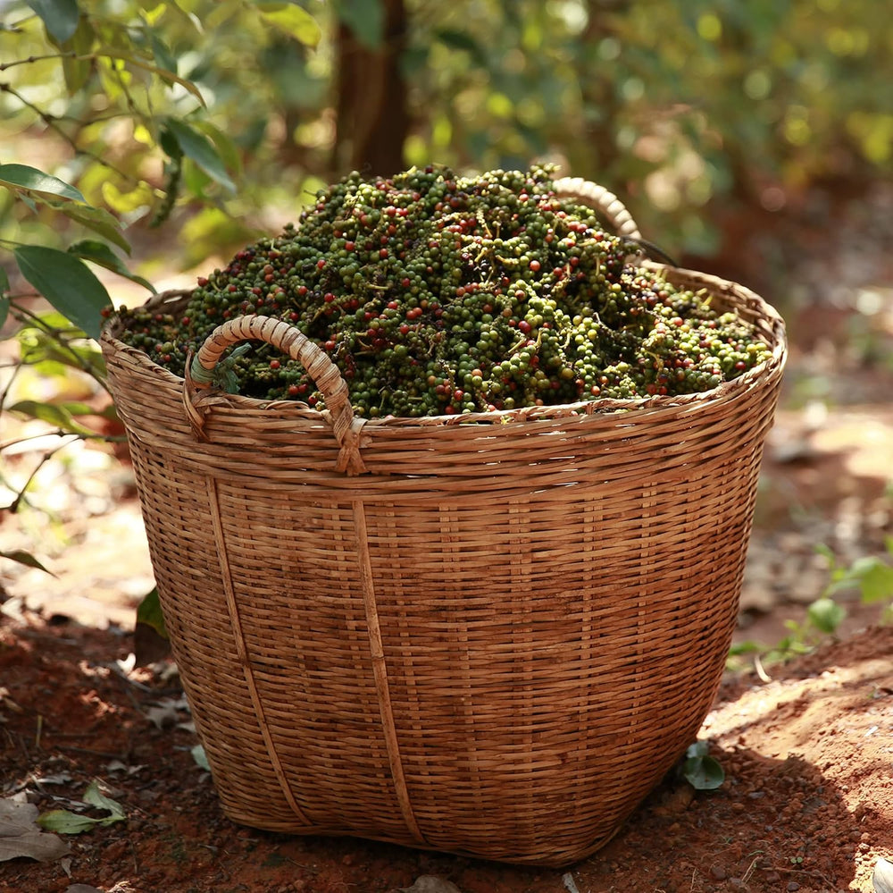 Spicebar Roter Kampot Pfeffer, Premium Auslese fra Kambodscha (1 x 70g)