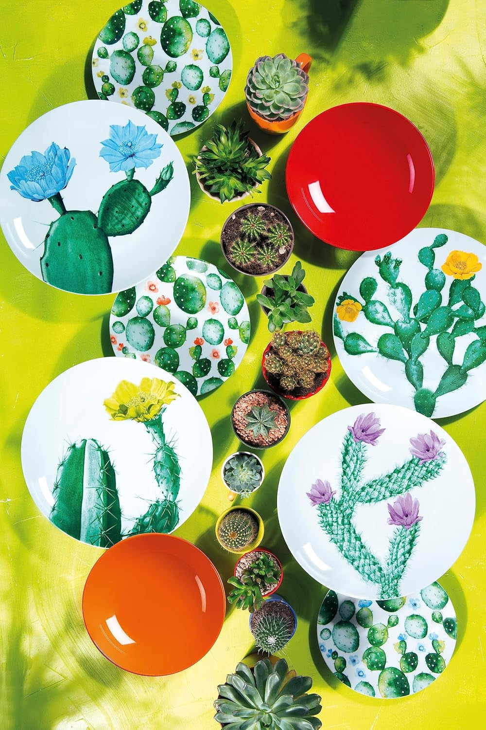 Set de veselă Excelsa Color Cactus, 18 piese, multicolor