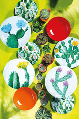 Set de veselă Excelsa Color Cactus, 18 piese, multicolor