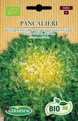 Endivie PANCALIERI, ECBIO2004