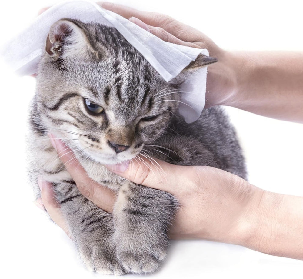 Go NPKGO00612 Capsulă de șervețele de curățare cu ceai verde, viscoză, alb, pachet de 12