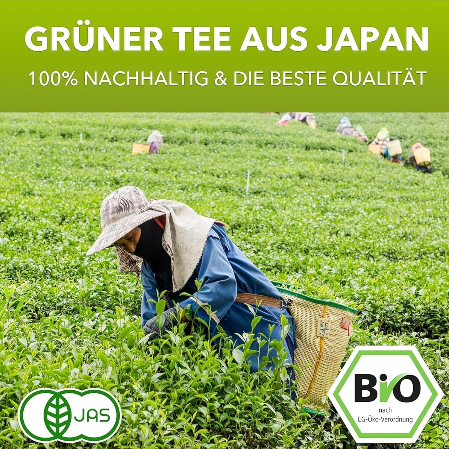 Matchamagic - Pudră de matcha latte bio din Japonia cu zahăr din floare de cocos pentru un ceai delicios