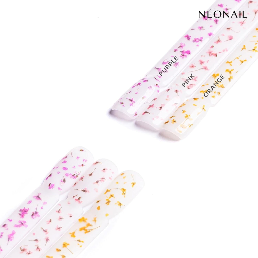 NÉONAIL Nail Art Flowers Set - Trockenblumen - Getrocknete Blumen - Nageldesign Zubehör - Nageldekorationen - Getrocknete Blüten - Nail Decoration - Gelnägel Zubehör - 3 Farben - Rosa, Lila, Orange