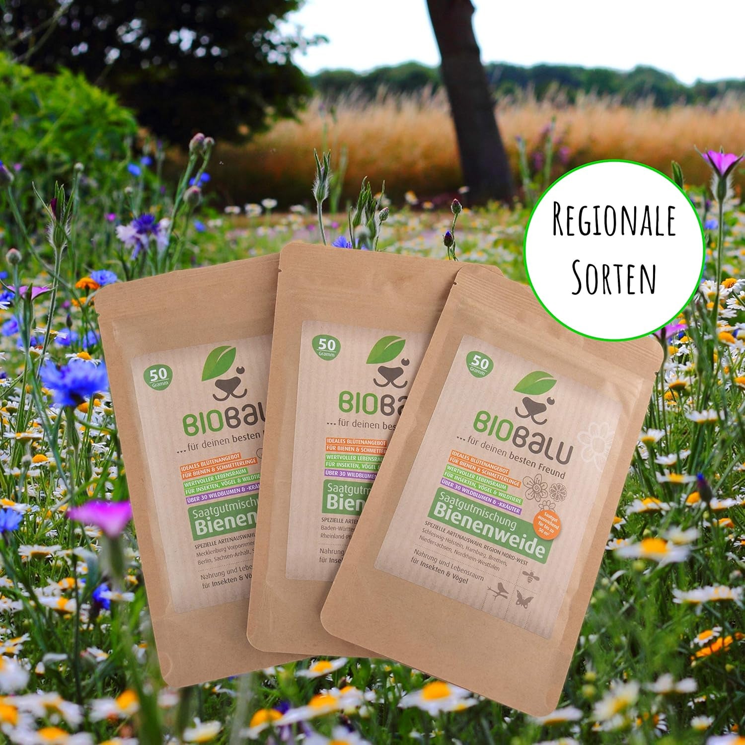 Bifrø - enge vilde blomster, flerårige og vinterhårdføre, frø - over 40 hjemmehørende blomster og vilde urter, særligt udvalg af arter til det sydlige Tyskland, 50g