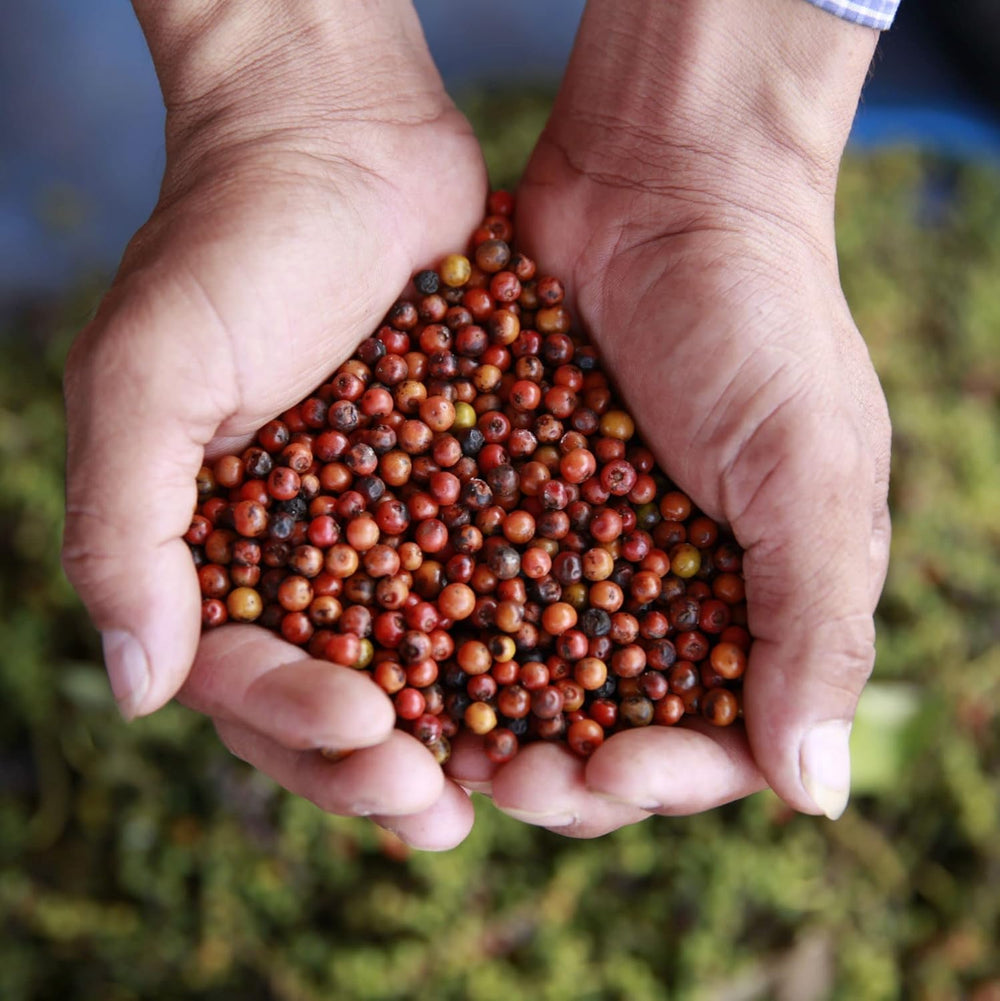 Spicebar Roter Kampot Pfeffer, Premium Auslese fra Kambodscha (1 x 70g)