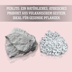 LERAVA® Perlite for Plants (5L) – Grovkornet perlit til jordforbedring – Sikrer optimal dræning og beluftning – Naturlig jord- og hydroponicsadditiv – Granulat til planter