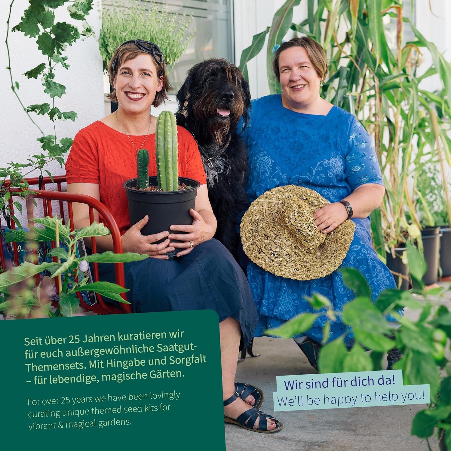 Magic Garden Seeds - Urter til katte: Katte-, baldrian-, salvie- og katteurt - Frøkasse med 4 planter til leg, nibler og afslapning