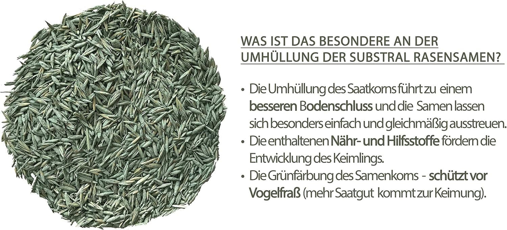 Substral Rasensamen Der Robuste, 1 Kg Für 50 M² - Sport- Und Spielrasen, Einzigartige Strapazierrasen-Mischung