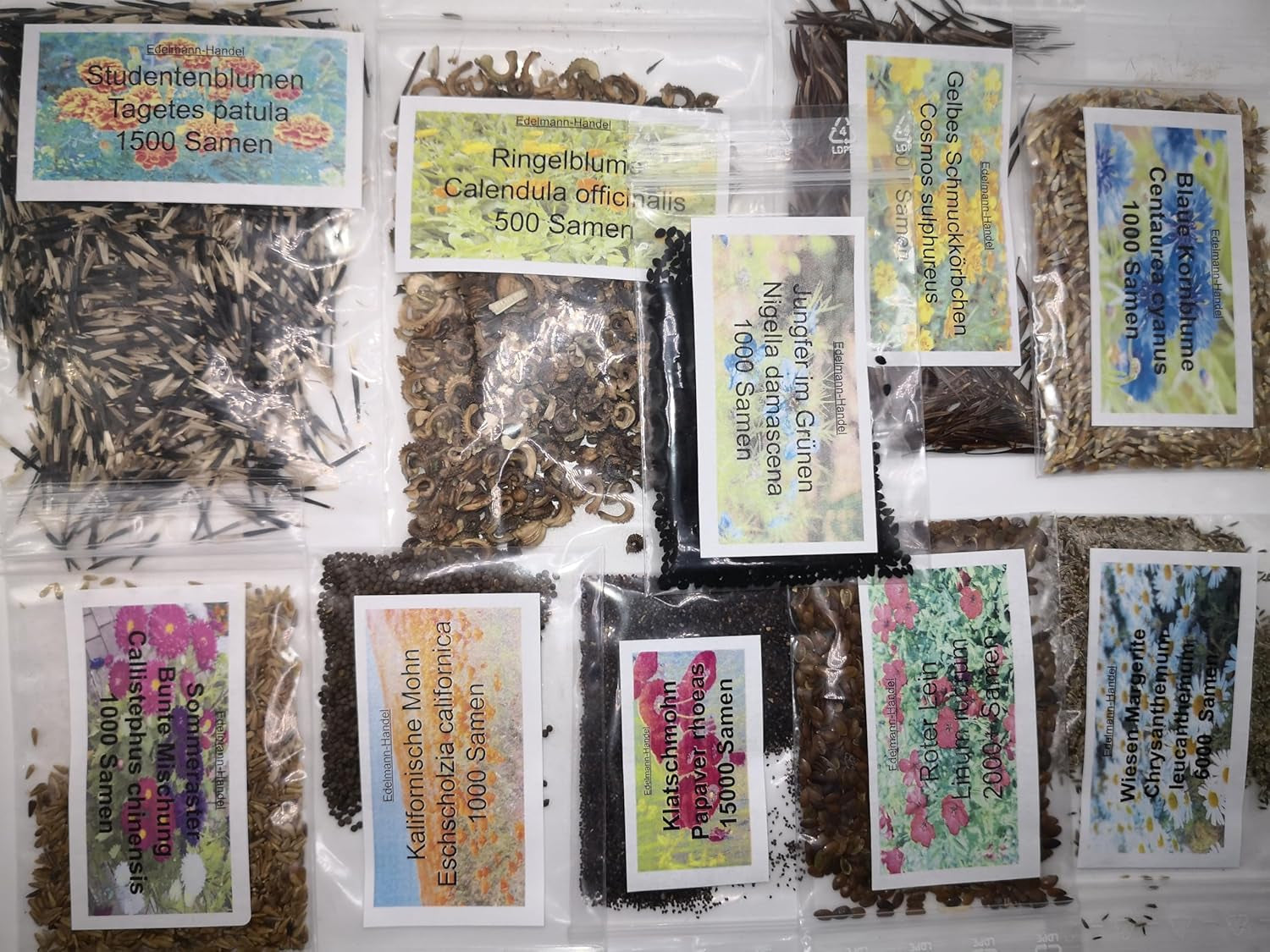 Sæt med vilde blomsterfrø, 10 sorter, 28.000 frø, vildblomstblanding af eng med valmuer, blåklokker, morgenfruer, tusindfryd og mere, alle individuelt pakket ind