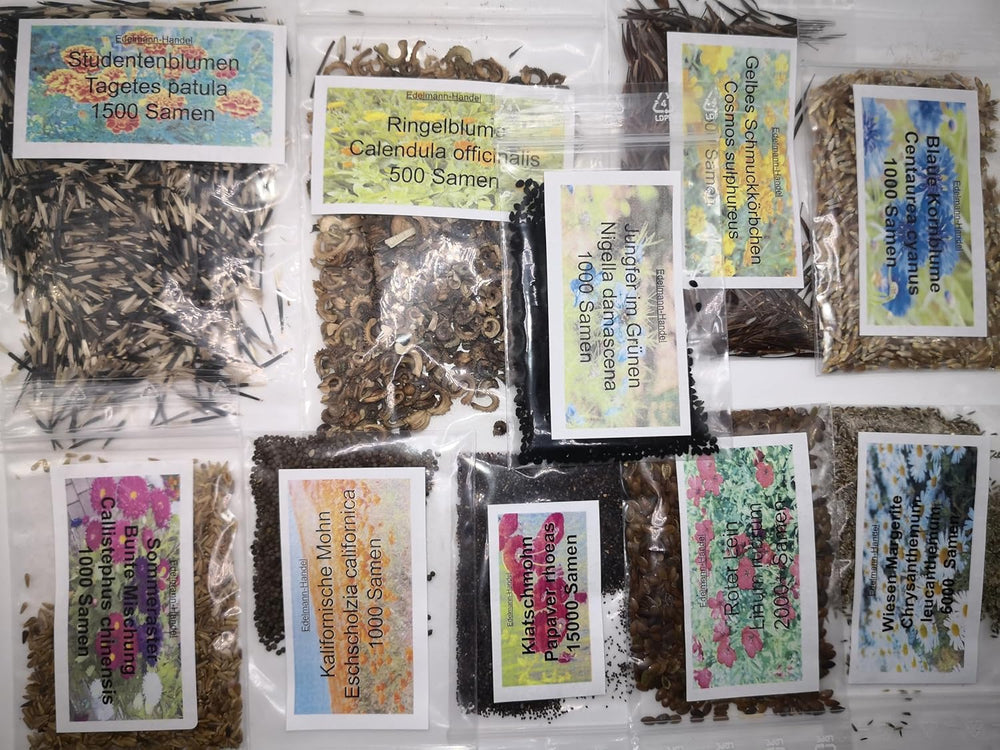 Sæt med vilde blomsterfrø, 10 sorter, 28.000 frø, vildblomstblanding af eng med valmuer, blåklokker, morgenfruer, tusindfryd og mere, alle individuelt pakket ind