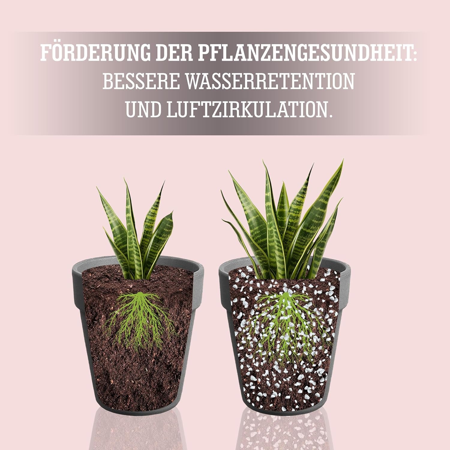 LERAVA® Perlite for Plants (5L) – Grovkornet perlit til jordforbedring – Sikrer optimal dræning og beluftning – Naturlig jord- og hydroponicsadditiv – Granulat til planter