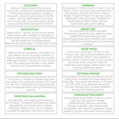 Nojus Blomsterfrøsæt - 10 sorter af blomsterfrø - Balkonblomsterfrø - Farverige plantefrø - 10 pakker - Vilde blomsterfrø - Blomsterfrøposer - Ideel blomsterfrøgave