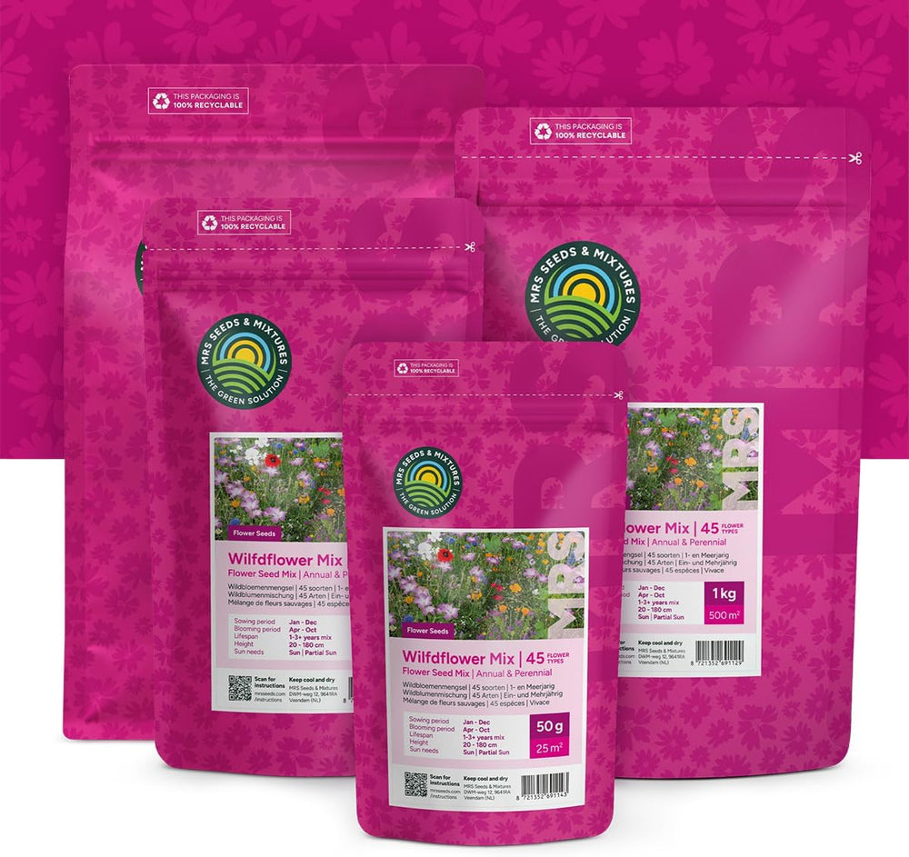 Bunte Insektenfreundliche Wildblumensamen Mischung - 250 Gramm Für 125 M² - Einjährige & Mehrjährige Blumenmischung - Für Wildbienen, Hummeln & Schmetterlinge - Schnelle Aussaat - MRS Seeds