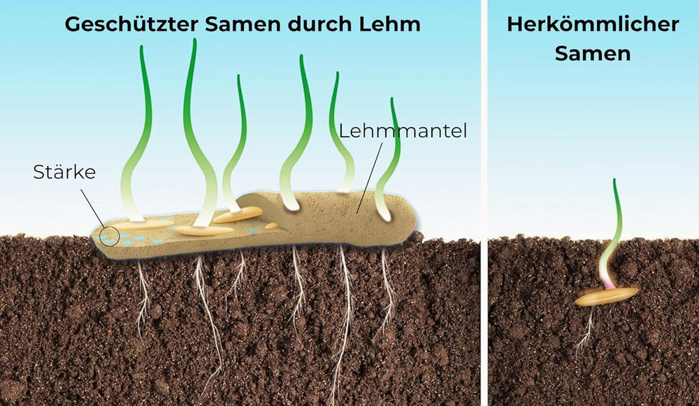 Blomsterfrø i beskyttende lerbelægning til bier og sommerfugle, 400g. Blanding af flerårige og vinterhårdføre vilde blomster til 20 m². Smukke vilde blomsterfrø til en farverig bi-græsgang. Gave til børn.