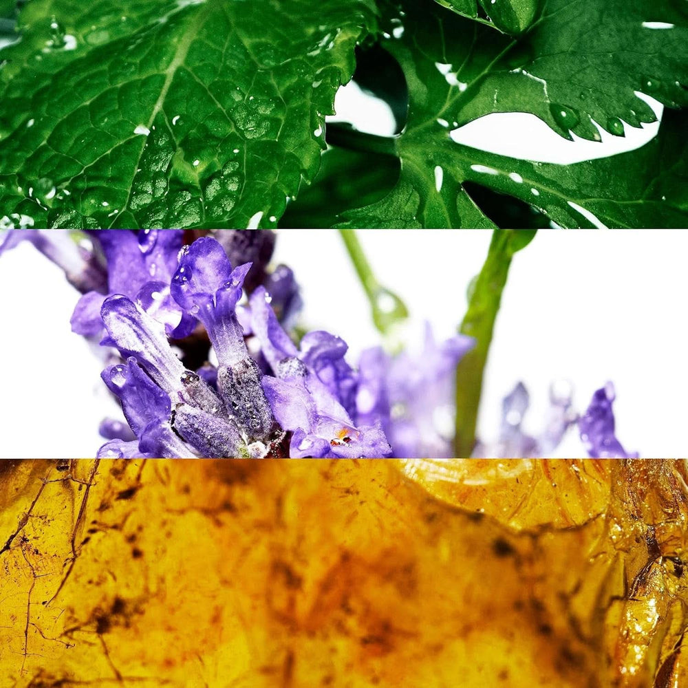 DAVIDOFF shower gel med en frisk aroma af koriander, lavendel, grønne noter til mænd, 150 ml Shower and bath Naty Shop