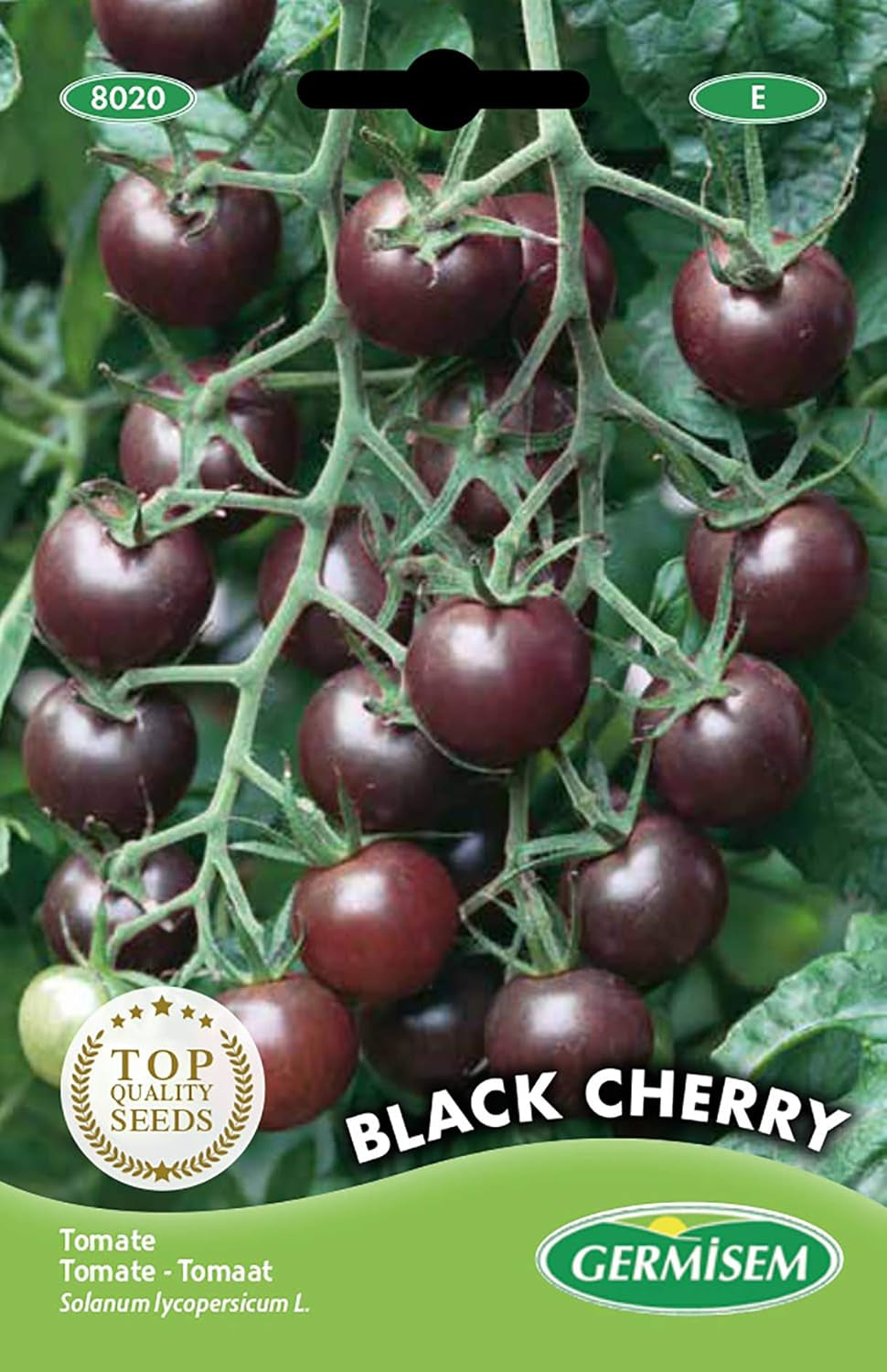 Tomate Mini Black Cherry