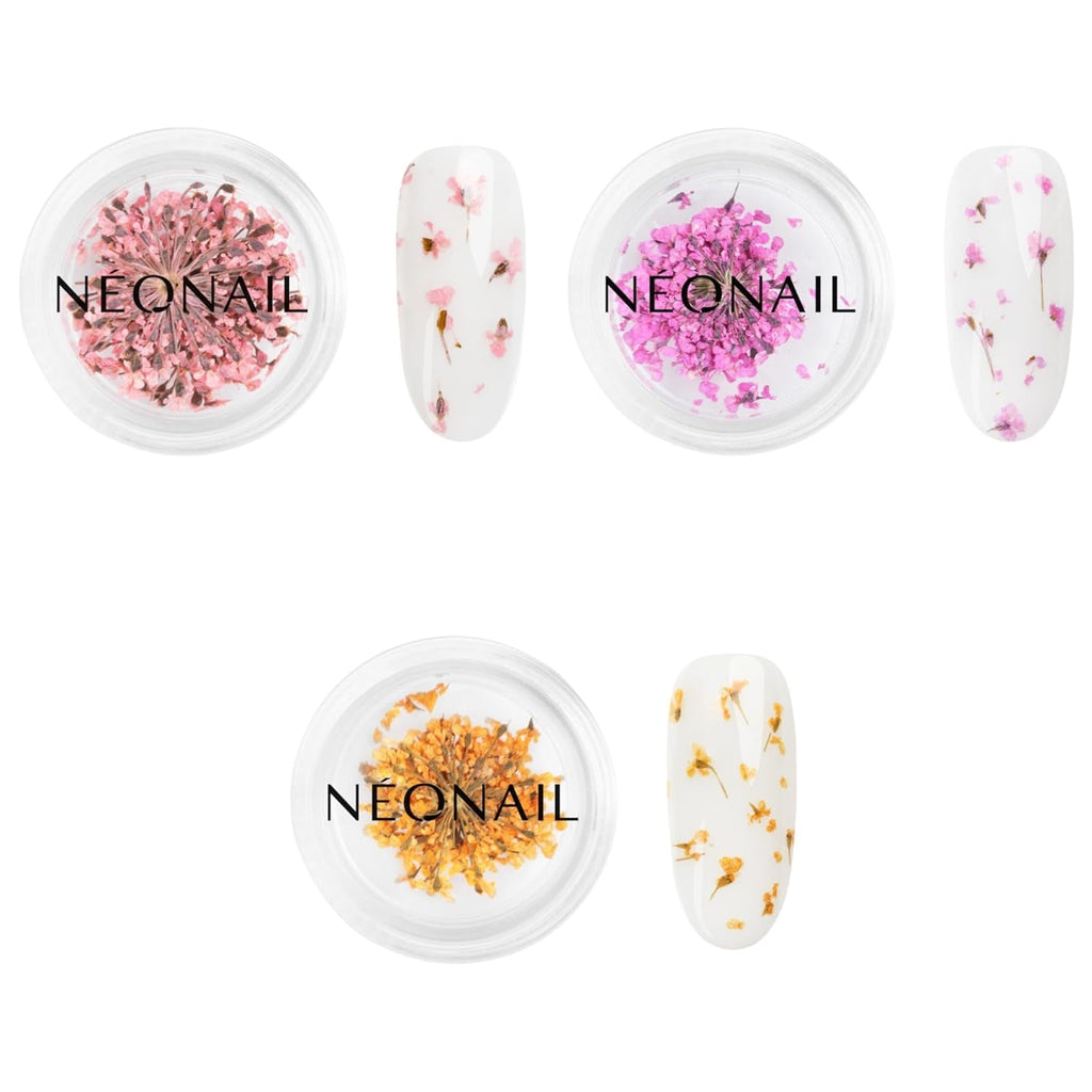 NÉONAIL Nail Art Flowers Set - Trockenblumen - Getrocknete Blumen - Nageldesign Zubehör - Nageldekorationen - Getrocknete Blüten - Nail Decoration - Gelnägel Zubehör - 3 Farben - Rosa, Lila, Orange
