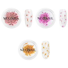 NÉONAIL Nail Art Flowers Set - Trockenblumen - Getrocknete Blumen - Nageldesign Zubehör - Nageldekorationen - Getrocknete Blüten - Nail Decoration - Gelnägel Zubehör - 3 Farben - Rosa, Lila, Orange
