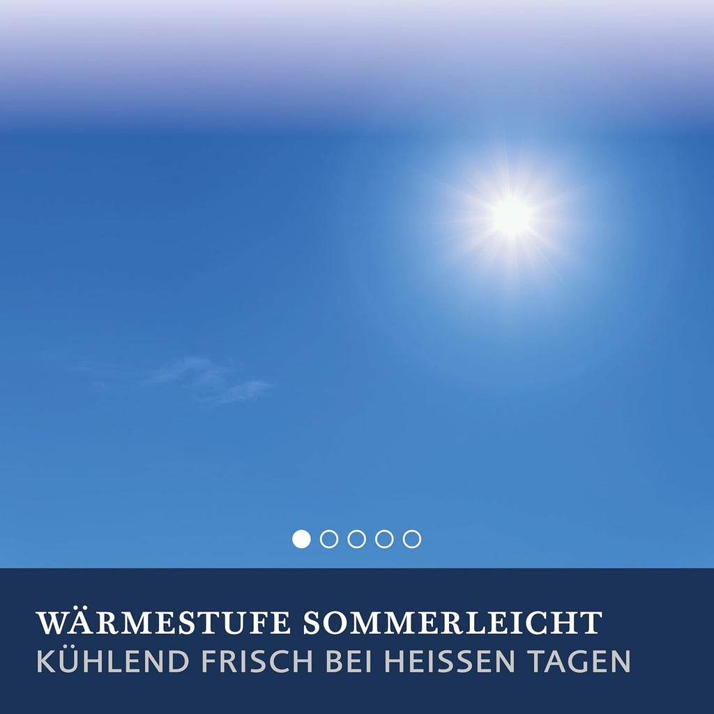 Plapumă Billerbeck Lina Superlight - Plapumă din in - 155 X 220 Cm - Plapumă de vară, plapumă răcoritoare, plapumă ușoară de vară - 70% in, 30% bumbac, alb Plapumi si pilote Naty Shop