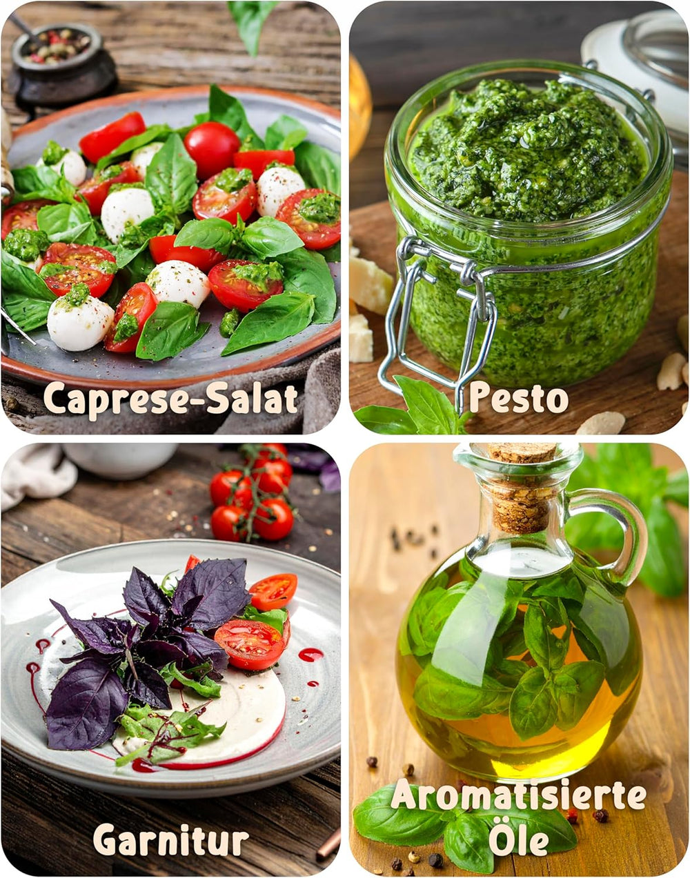 Økologiske basilikumfrø i et sæt med 6 - 6 basilikumfrø til nem dyrkning i haven, balkonen eller højbedet - Plantefrø - Frøplanter